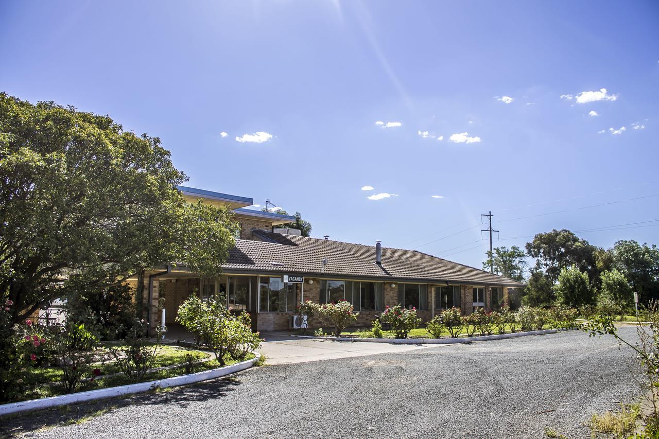 Allonville Gardens Motel Уогга-Уогга Экстерьер фото